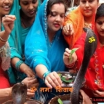 Nag Panchami ka Tyohar – नाग पंचमी क्यों मनाते हैं ?