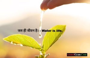World Water Day Hindi